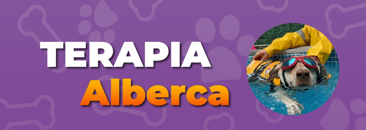 Terapia de alberca