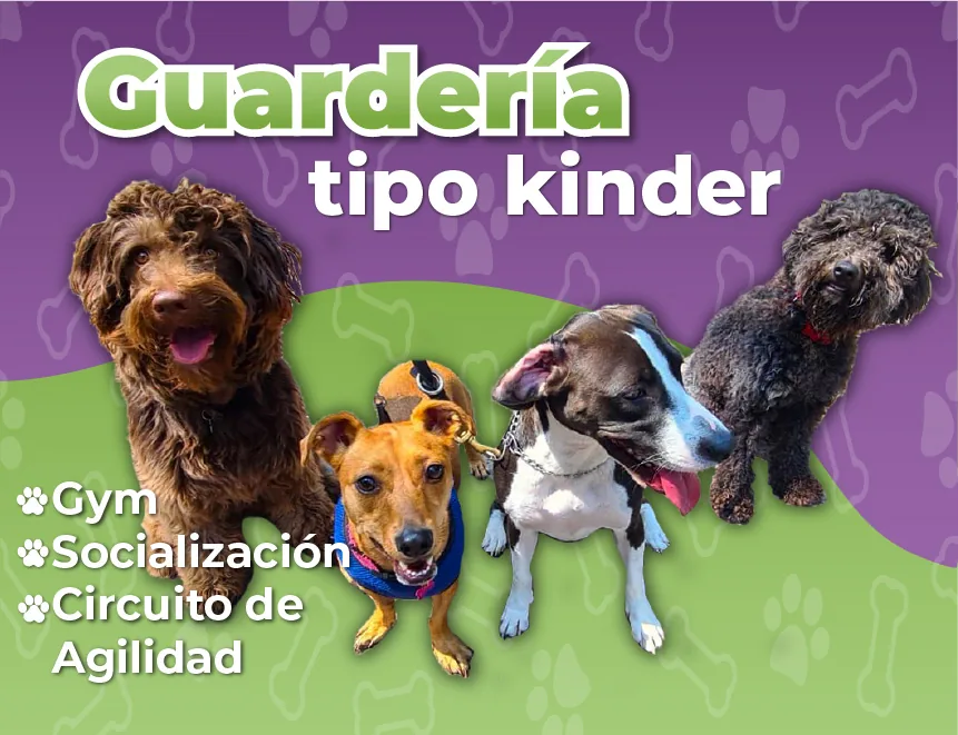 Guardería