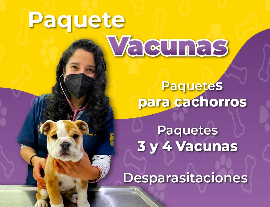 Vacunas y desparasitación
